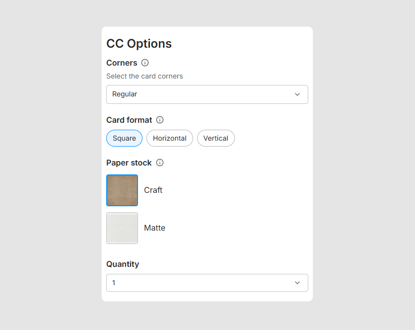 The Customer's Canvas Options component.