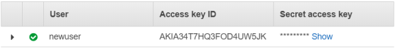 Access keys for a new user in Amazon S3.