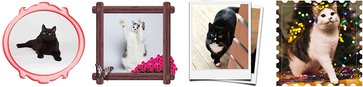 Frame examples.