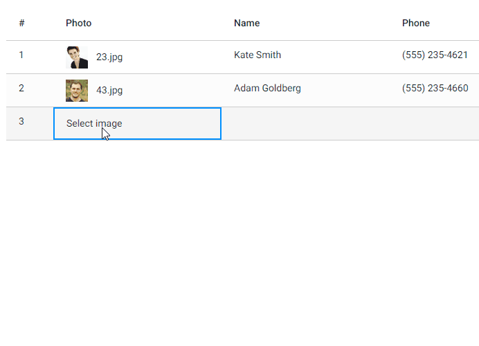 Selecting images in the DataSet Editor