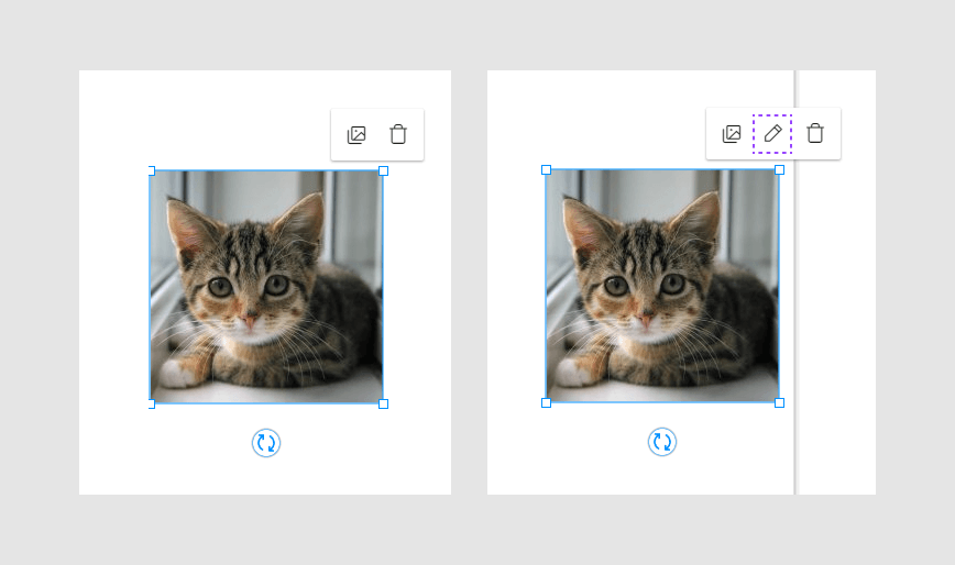 The Image Editor button is absent. 