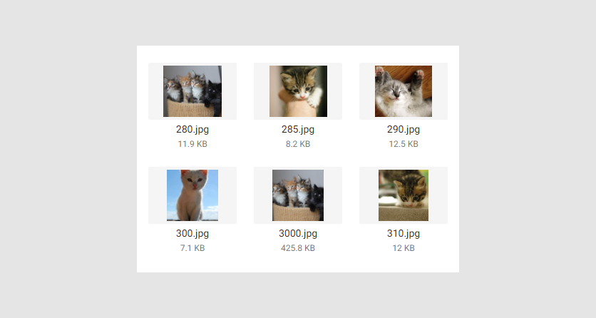 Photos in the Images folder.