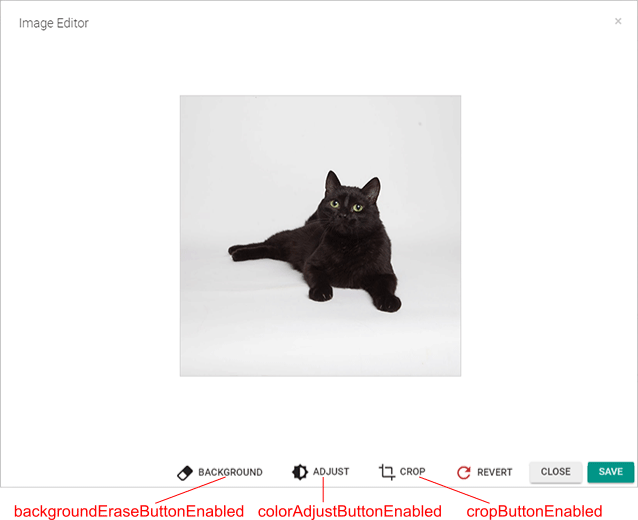 Image editor buttons.