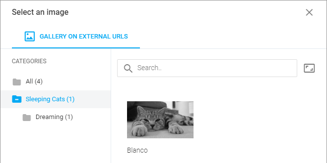MemorySource with the category tree in the Asset manager.