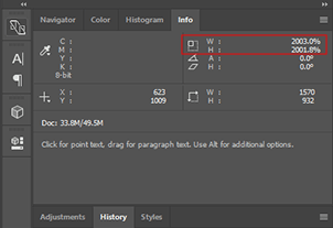 The text layer info tab.