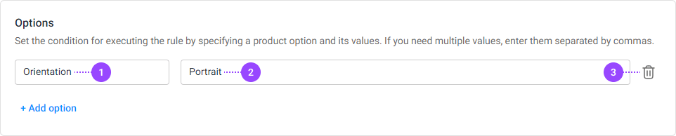 Option section with option name and its values.