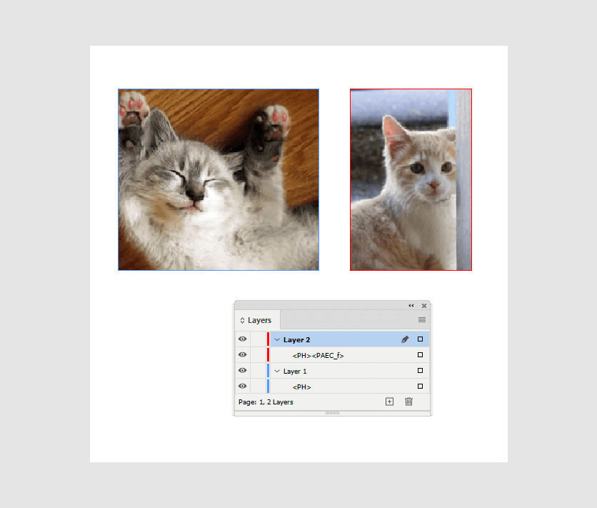 The PAEC marker disables the manipulations with the image in the image placeholder.