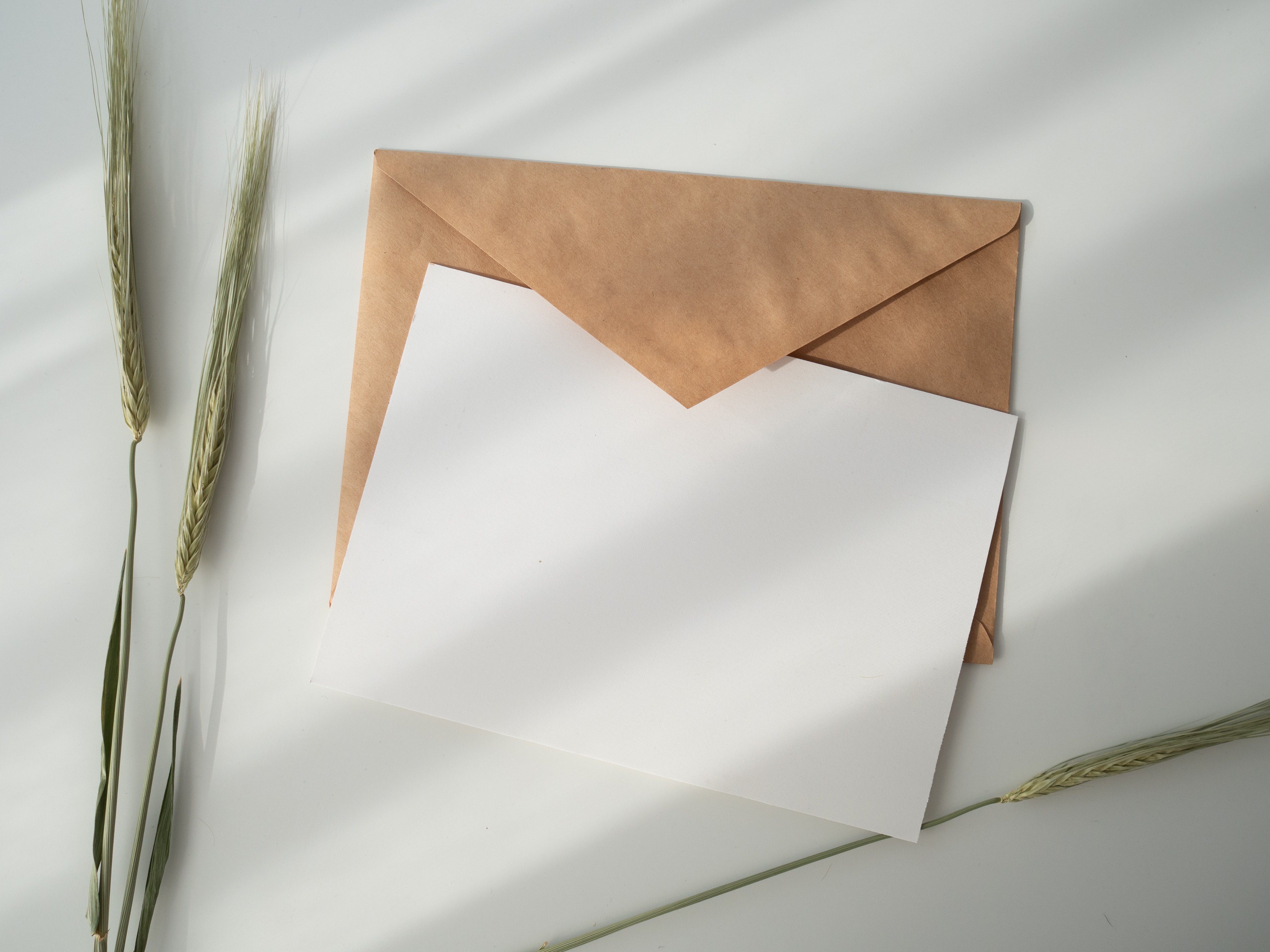 Direct Mail vs. Digital Marketing