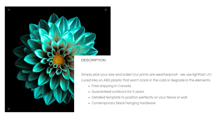 Flower on black background page